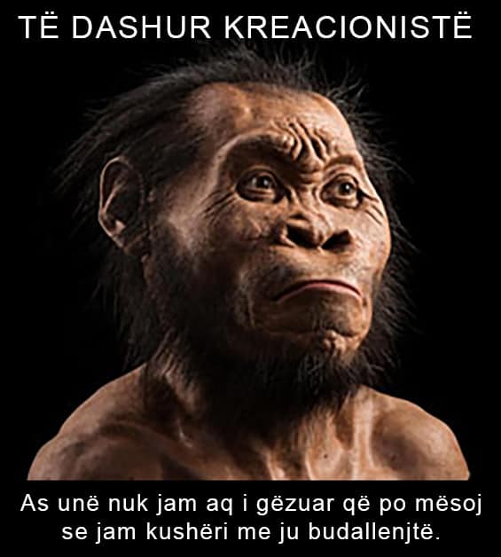 Evolucioni dhe Kreacionizmi