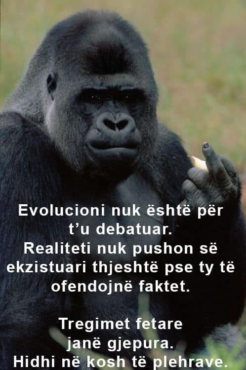 evolucioni fakt